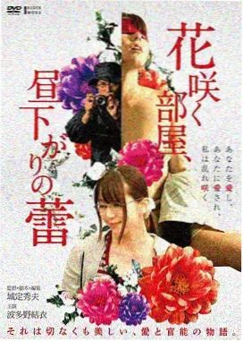 灰阶观测者片尾曲档案封面